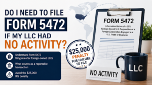 foreign-owned LLC no activity